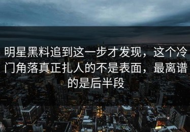明星黑料追到这一步才发现，这个冷门角落真正扎人的不是表面，最离谱的是后半段