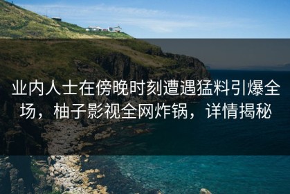 业内人士在傍晚时刻遭遇猛料引爆全场，柚子影视全网炸锅，详情揭秘