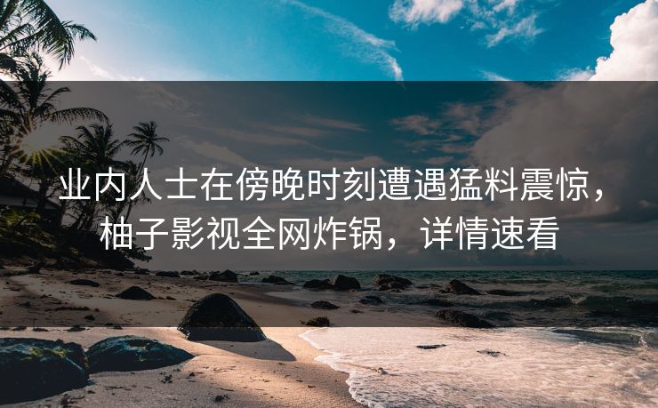 业内人士在傍晚时刻遭遇猛料震惊，柚子影视全网炸锅，详情速看