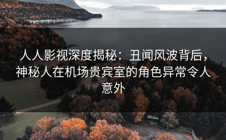 人人影视深度揭秘：丑闻风波背后，神秘人在机场贵宾室的角色异常令人意外
