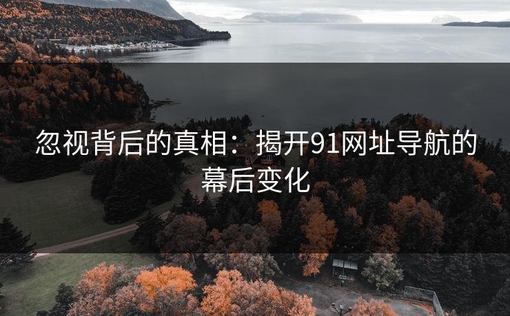 忽视背后的真相：揭开91网址导航的幕后变化