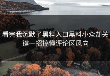 看完我沉默了黑料入口黑料小众却关键一招搞懂评论区风向