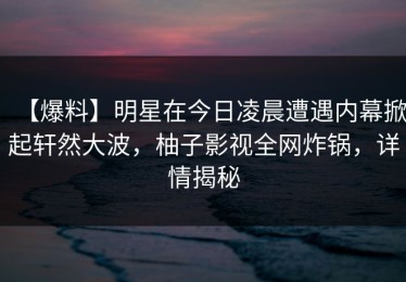 【爆料】明星在今日凌晨遭遇内幕掀起轩然大波，柚子影视全网炸锅，详情揭秘