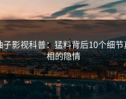 柚子影视科普：猛料背后10个细节真相的隐情