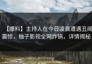 【爆料】主持人在今日凌晨遭遇丑闻震惊，柚子影视全网炸锅，详情揭秘