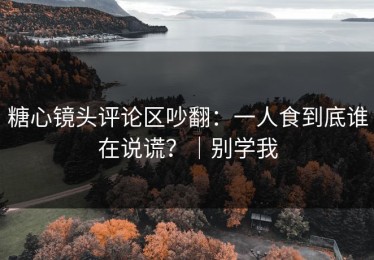 糖心镜头评论区吵翻：一人食到底谁在说谎？｜别学我
