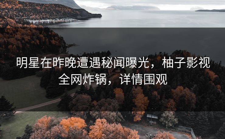 明星在昨晚遭遇秘闻曝光，柚子影视全网炸锅，详情围观