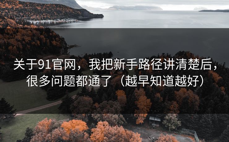 关于91官网,我把新手路径讲清楚后,很多问题都通了(越早知道越好) 关于91官网,我把新手路径讲清楚后,很多问题都通了(越早知道越好)